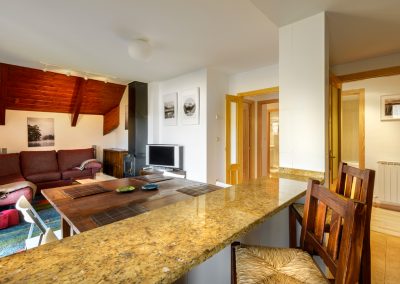 Apartamento Saliecho en Formigal