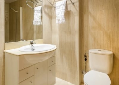 Apartamento Saliecho en Formigal