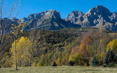 Cinco lecciones sobre naturaleza en el Valle de Tena